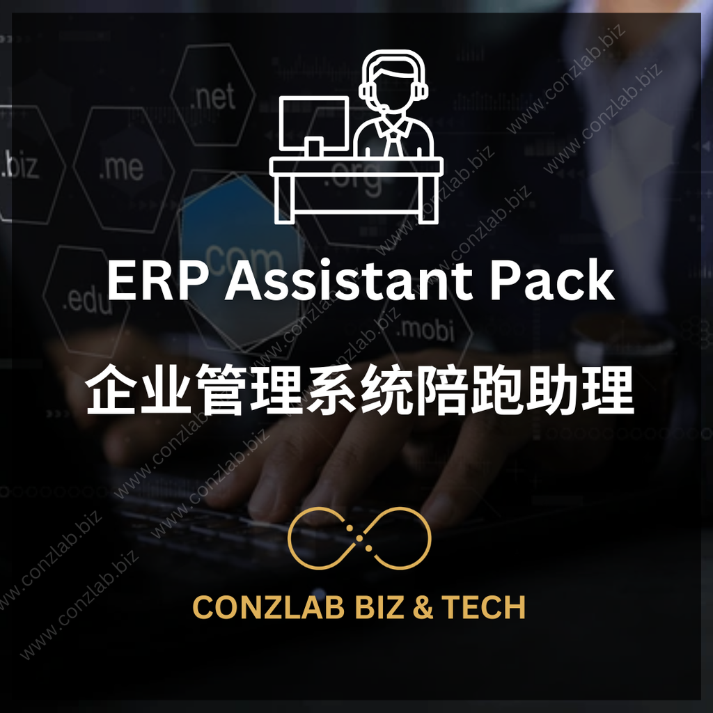 ERP Assistant Pack
