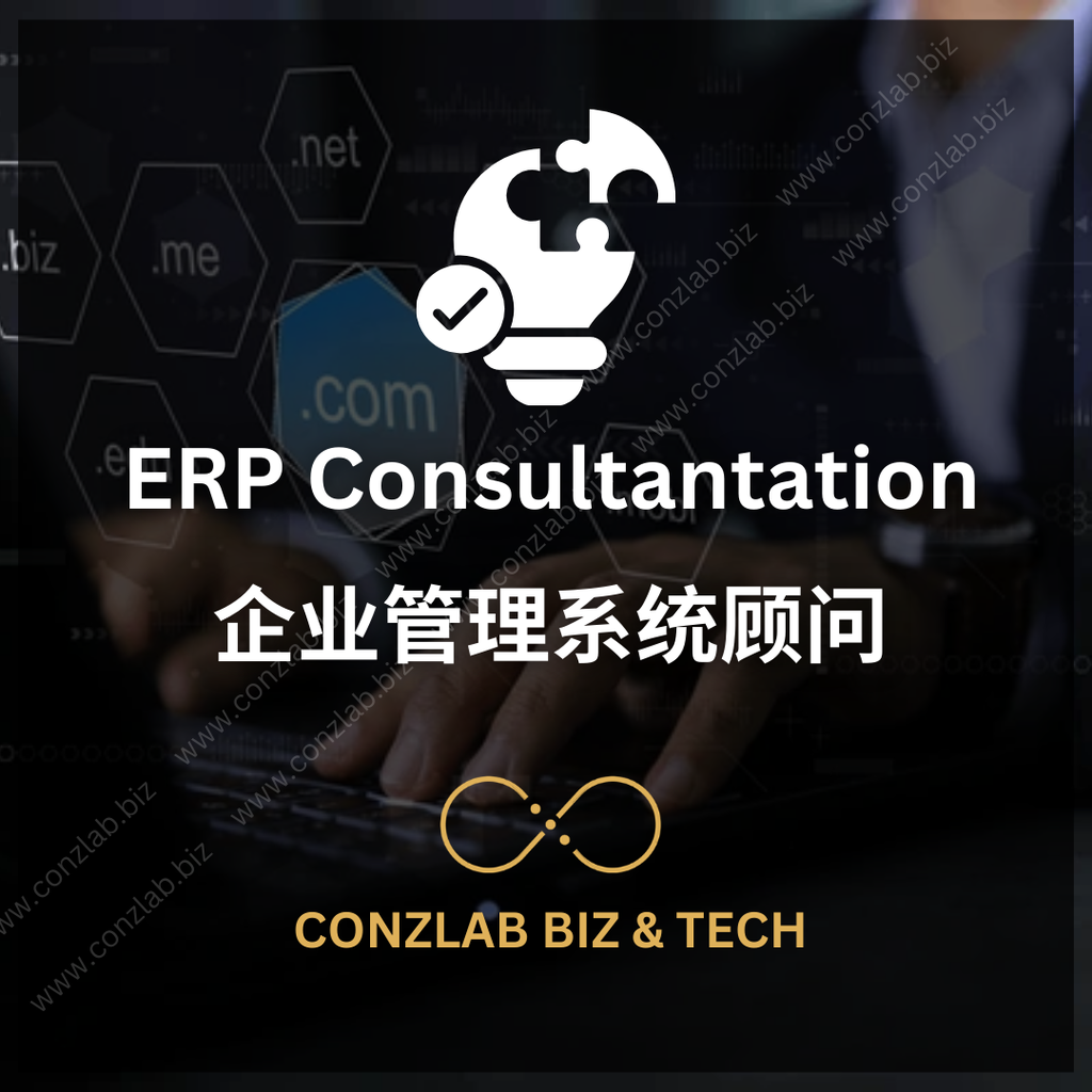 ERP Consultant [Hour Pack]