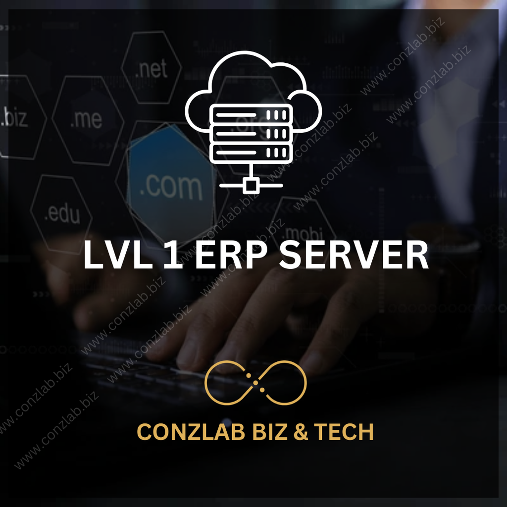 Lv1 ERP Server-0