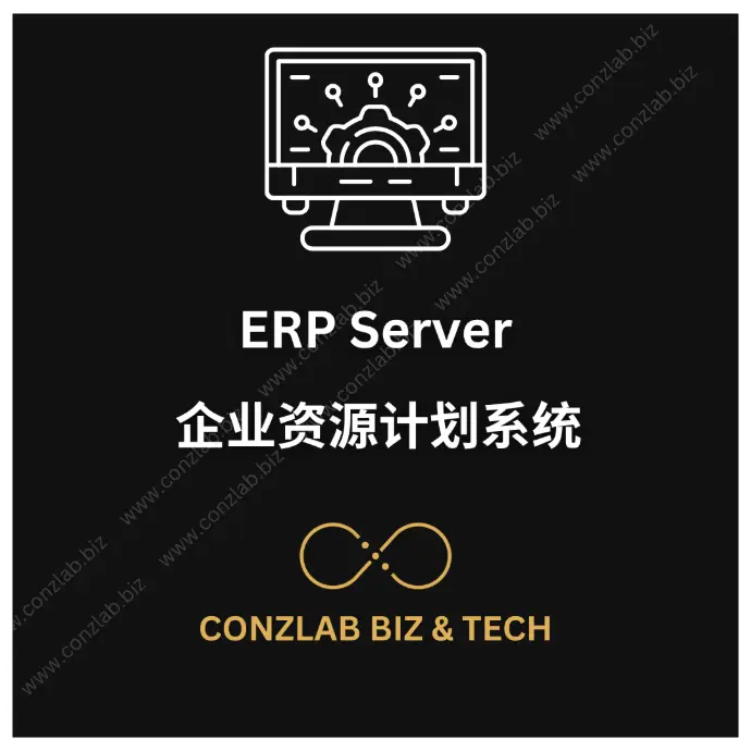 Lv5 ERP Server-300