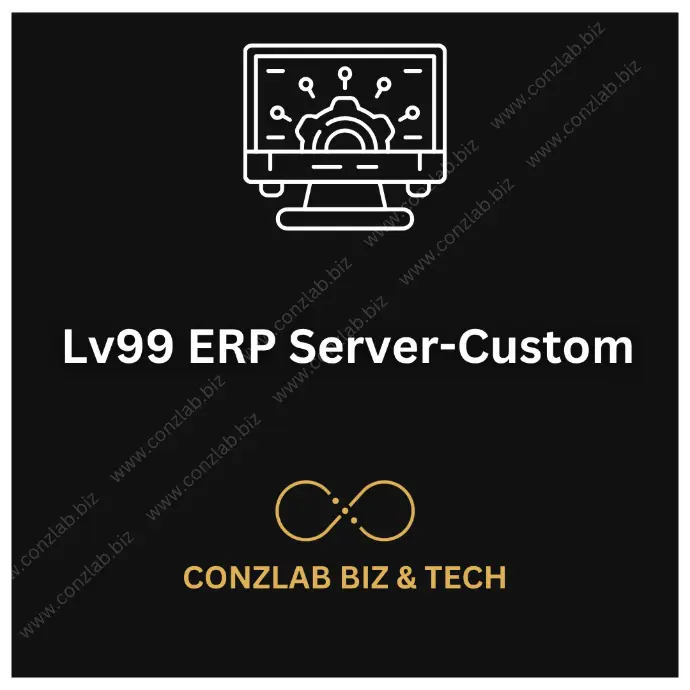Lv99 ERP Server-Custom