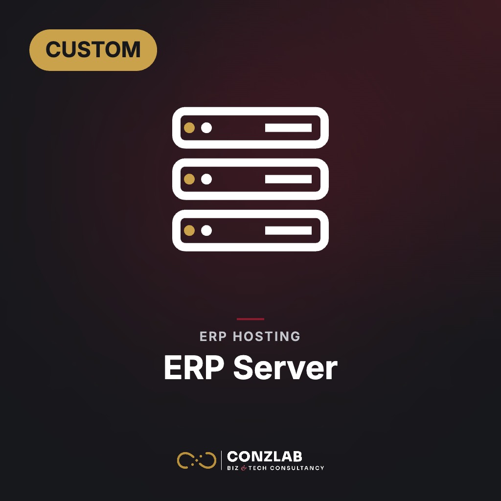 Lv99 ERP Server-Custom