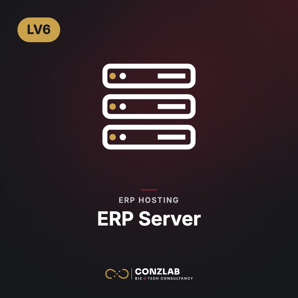 Lv6 ERP Server-400