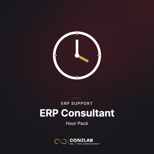 ERP Consultant [Hour Pack]