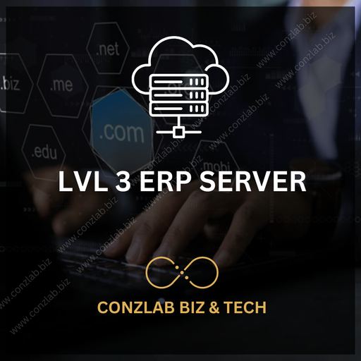 Lv3 ERP Server-100