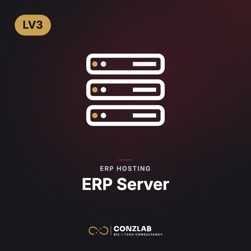 Lv3 ERP Server-100