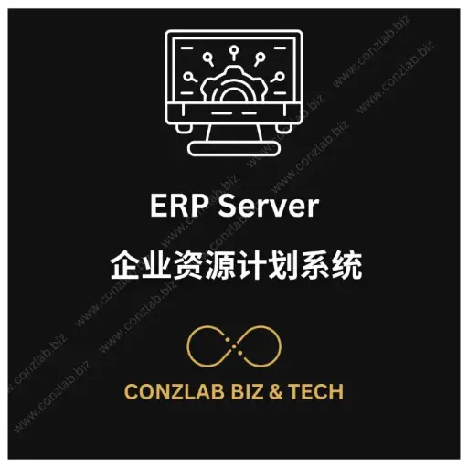 Lv5 ERP Server-300
