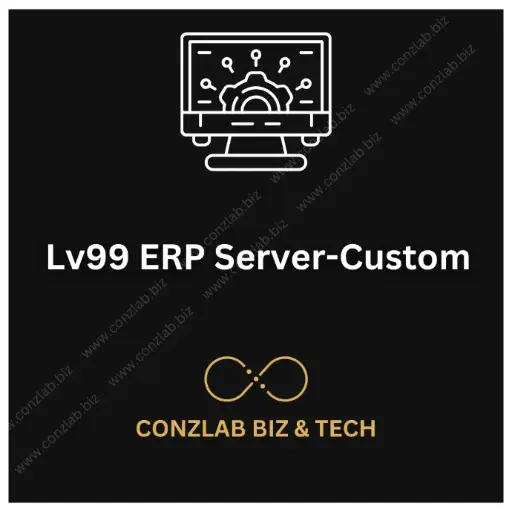 Lv99 ERP Server-Custom