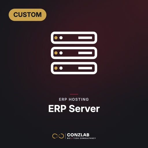 Lv99 ERP Server-Custom